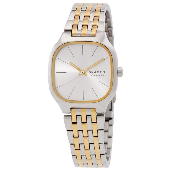 FX04291B NWT Skagen Fashion Ladies Quartz Steel Authentic Watch - Picture 1 of 3